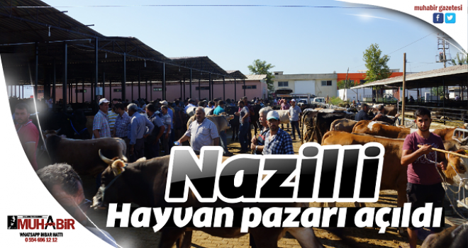 Nazilli Hayvan pazarı açıldı  