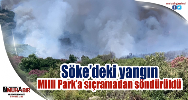 Söke’deki yangın Milli Park’a sıçramadan söndürüldü  