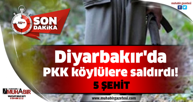 Diyarbakır'da PKK köylülere saldırdı!