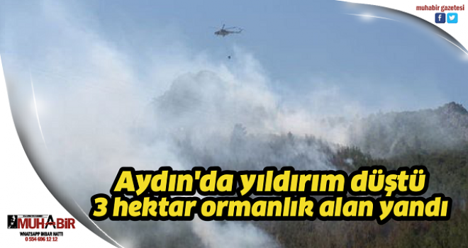 Aydın'da yıldırım düştü, 3 hektar ormanlık alan yandı  