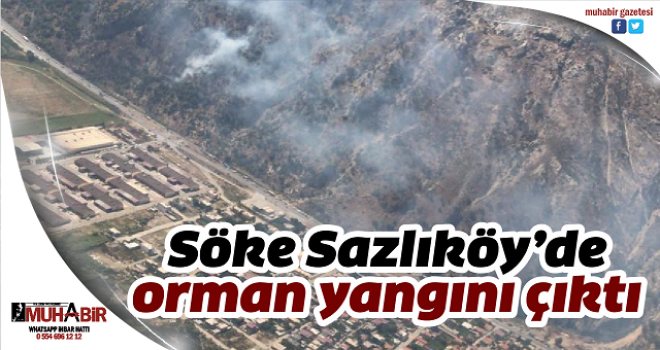 Söke Sazlıköy’de orman yangını çıktı