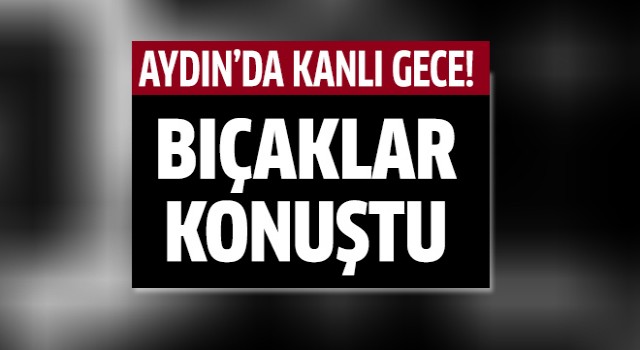 Aydın'da bıçaklı kavga