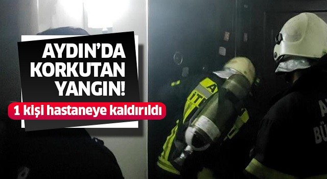 Aydın'da korkutan yangın!