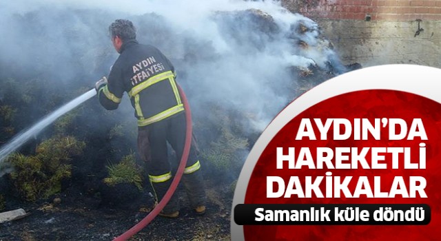 Aydın'da samanlık yangını