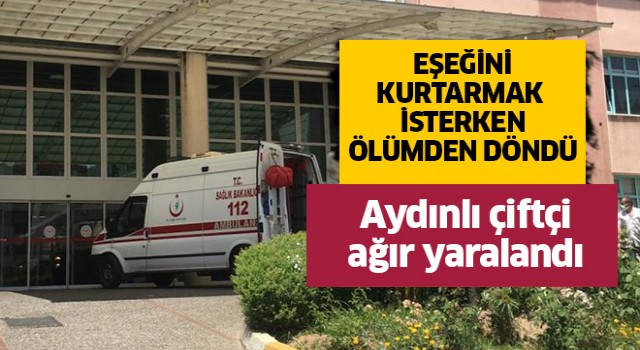 Aydınlı çiftçi ağır yaralandı