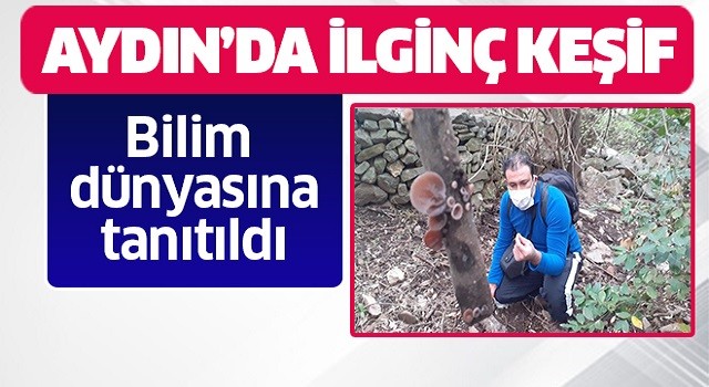 Bilim dünyasına tanıtıldı