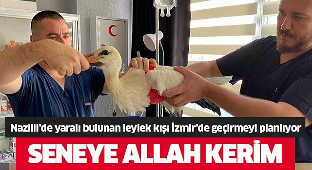 Nazilli'de yaralı halde bulunmuştu