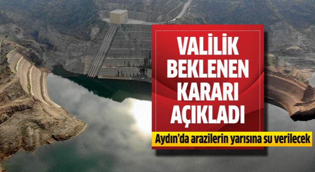 Aydın'da arazilerin yarısını su verilecek