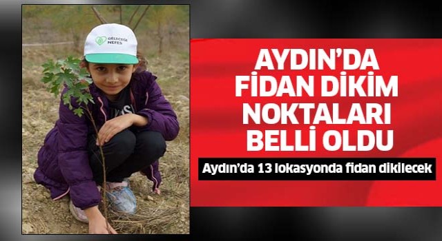 Aydın’da fidan dikim noktaları belli oldu