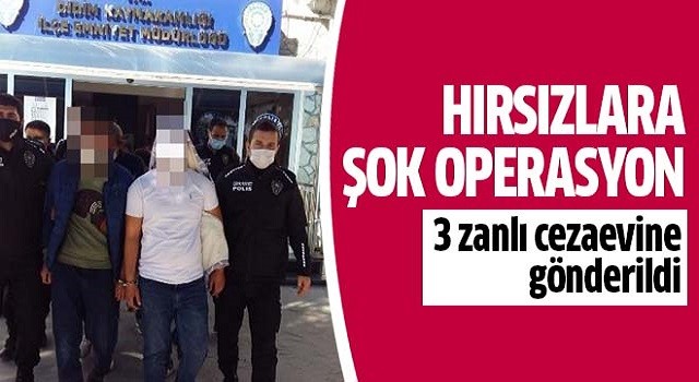 Aydın'da hırsızlara şok operasyon