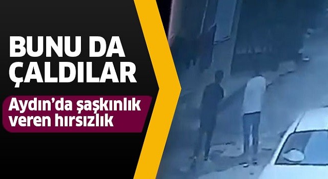 Aydın'da şaşkınlık veren hırsızlık