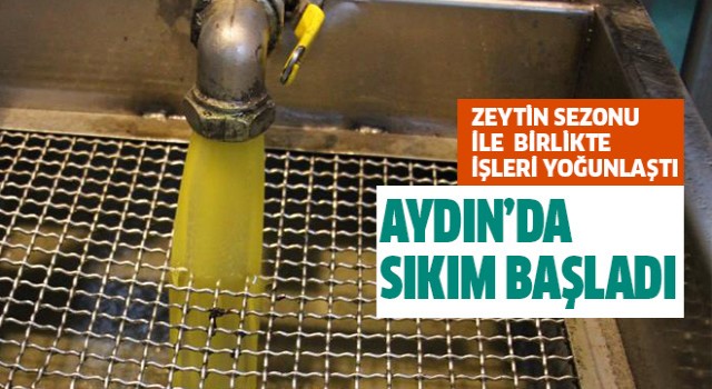 Aydın'da sıkım başladı