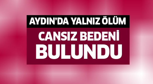 Aydın'da yalnız ölüm!