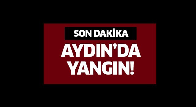 Ev yangınında 1 kişi öldü