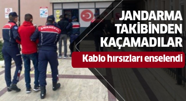 Kablo hırsızları yakalandı