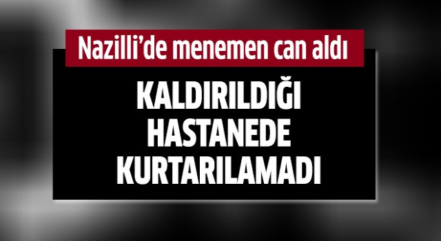 Nazilli'de menemen can aldı