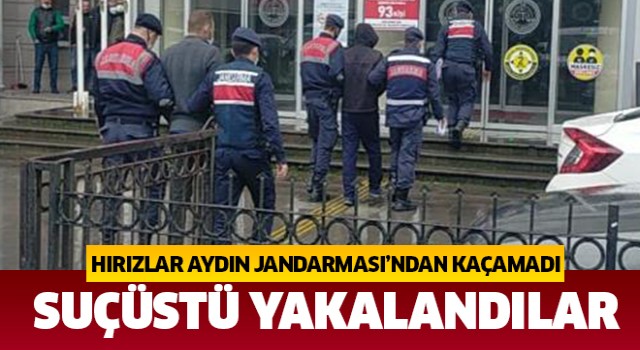 Jandarma hırsızları suçüstü yakaladı