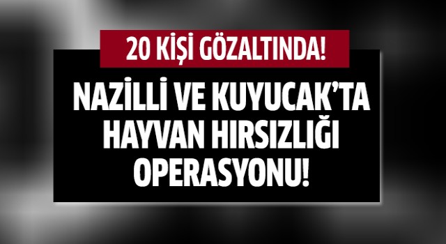 Jandarmadan hayvan hırsızlarına operasyon!