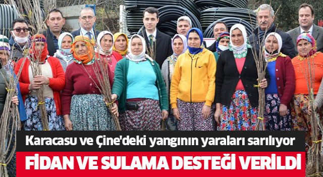 Karacasu ve Çine'deki orman yangınlarının yaraları sarılıyor