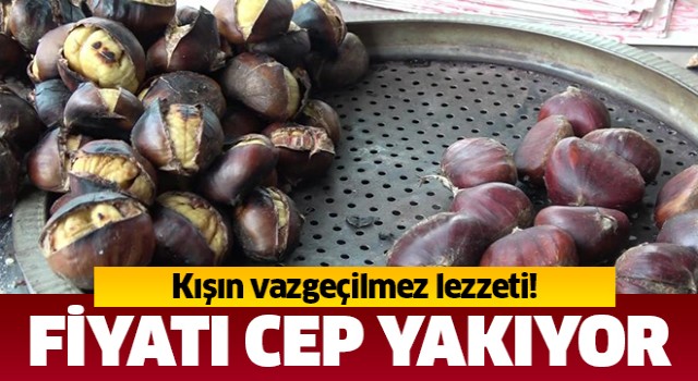 Kestane fiyatı cep yakıyor