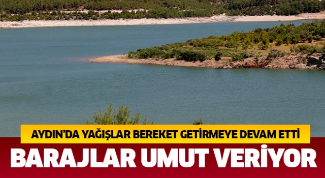 Aydın'da yağışlar bereket getiriyor