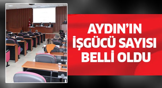 Aydın’ın işgücü sayısı belli oldu