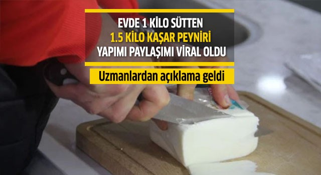 Evde 1 kilo sütten 1 buçuk kilo kaşar peyniri yapımı paylaşımı viral oldu