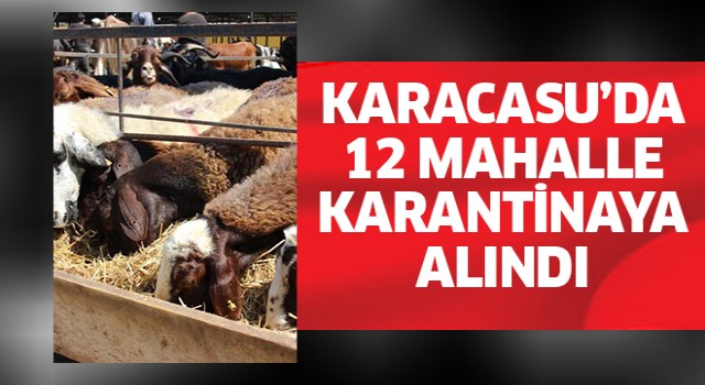 Karacasu’da 12 mahalle karantinaya alındı
