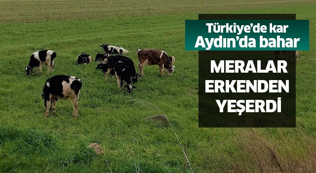 Türkiye’de kar, Aydın’da bahar yaşanıyor