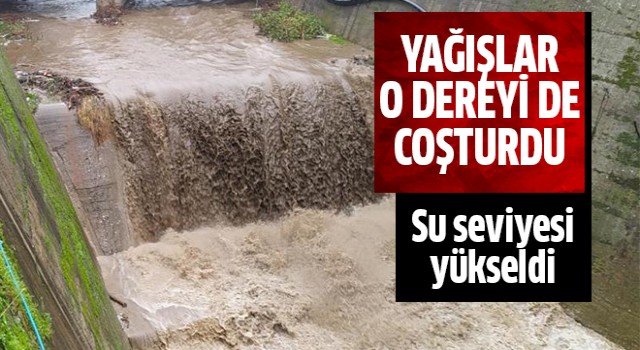 Yağışlar o dereyi de coşturdu