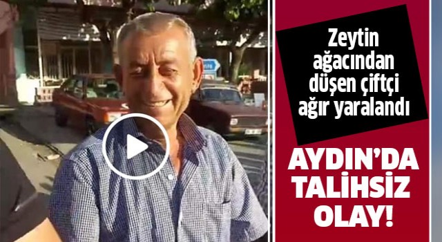 Zeytin ağacından düşen çiftçi ağır yaralandı