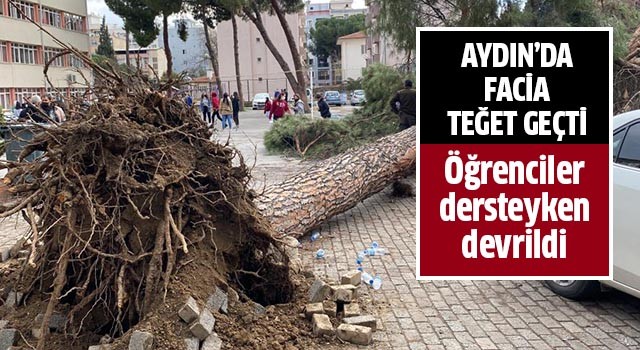 Aydın'da facia teğet geçti