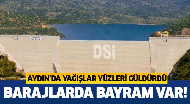 Aydın'da son yağışlar yüz güldürdü