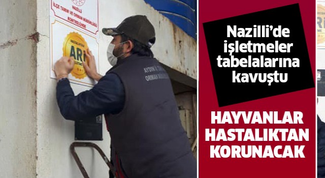 Nazilli'de işletmeler tabelalarına kavuştu