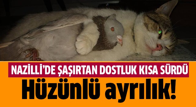 Nazilli'de şaşırtan dostluk kısa sürdü