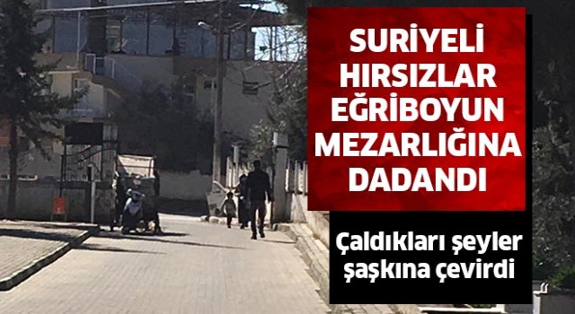 Suriyeli hırsızlar Eğriboyun mezarlığına dadandı!