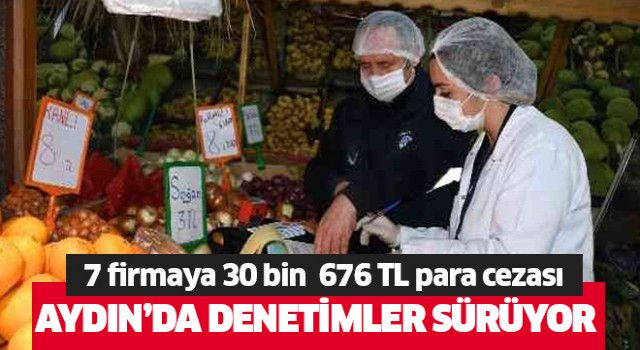 Aydın'da 7 firmaya 30 bin 676 TL para cezası kesildi