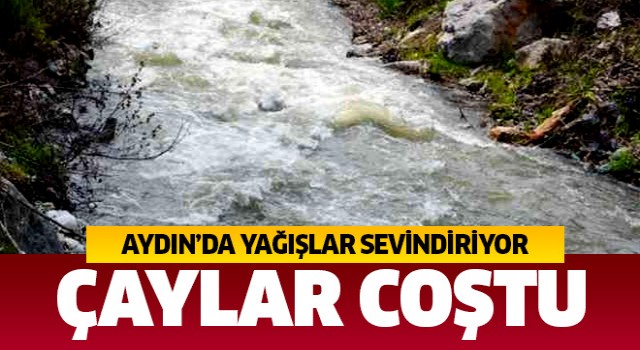 Aydın'da çaylar coştu