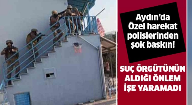 Aydın'da suç örgütüne operasyon!