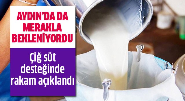 Çiğ süt desteğinde rakam açıklandı