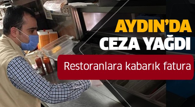 Aydın’da 15 gıda işletmesine 281 bin TL ceza kesildi