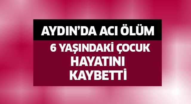 Aydın'da acı ölüm!