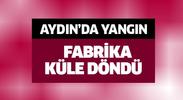 Aydın'da yanan fabrika küle döndü