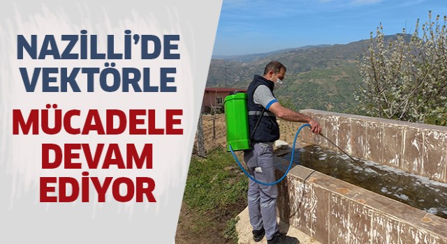 Nazilli’de vektörle mücadele çalışmaları devam ediyor