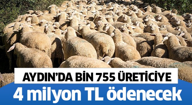 Aydın'da bin 755 üreticiye 4 milyon TL ödenecek