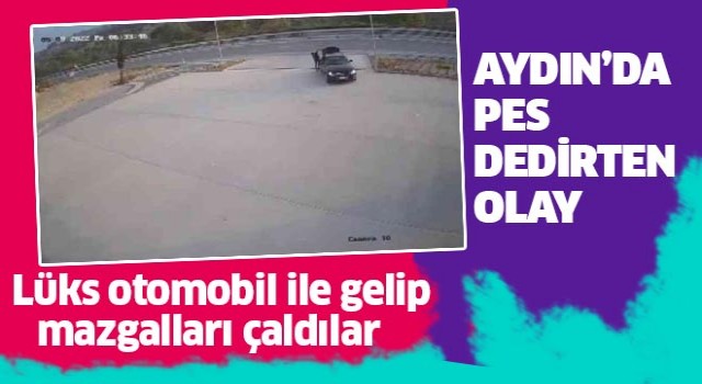 Lüks otomobille mazgalları çaldılar