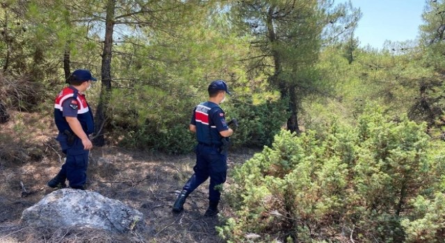 Aydın'da yangınlara karşı polis ve jandarma tetikte!