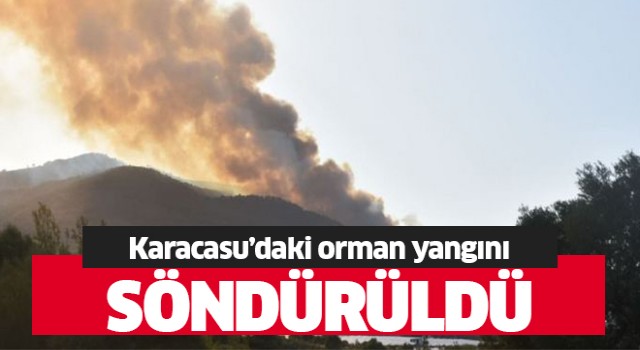 Karacasu'daki orman yangını söndürüldü