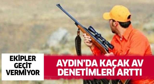 Aydın'da kaçak ava geçit yok