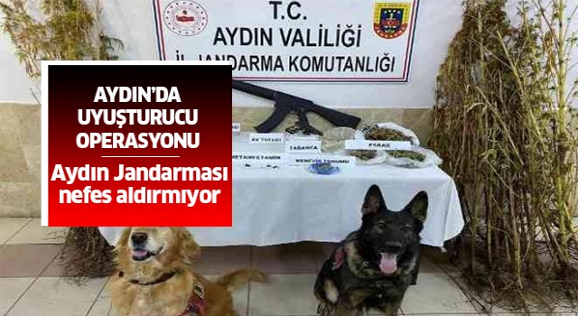 Aydın'da uyuşturucu operasyonu: 26 gözaltı